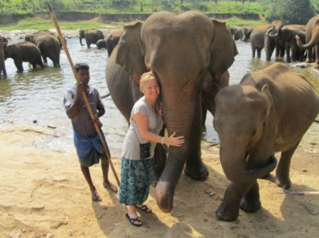 Pinnawela Elephant Orphanage